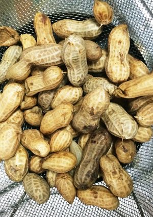 落花生 塩茹で-レシピのメイン写真