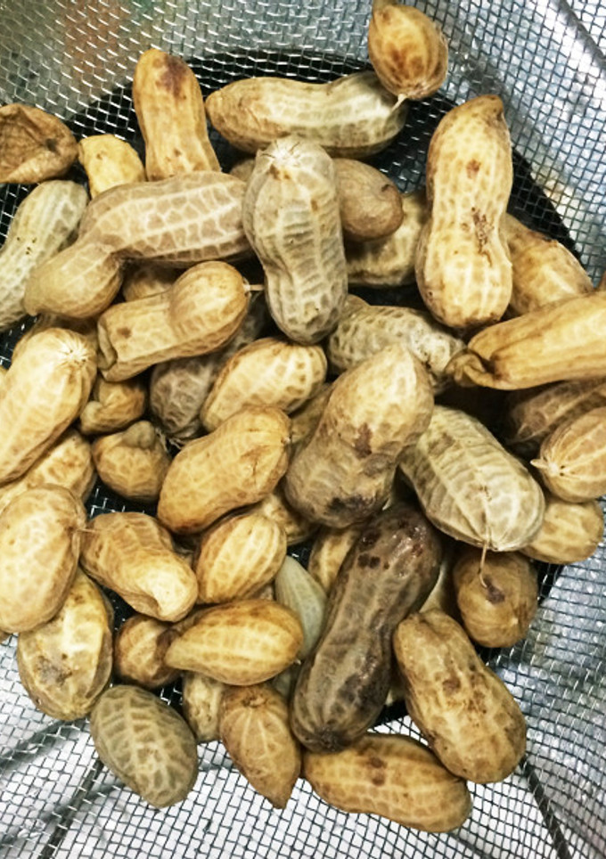 落花生 塩茹で-レシピのメイン写真