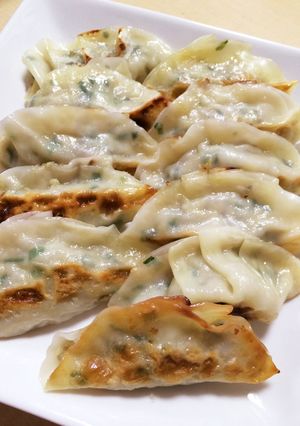 ダイエット餃子(カロリー約半分)-レシピのメイン写真