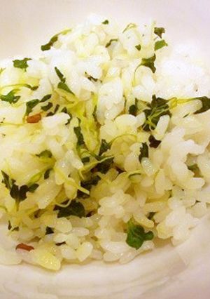 カイワレで簡単美味しい大根葉ご飯-レシピのメイン写真