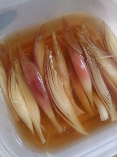 超簡単みょうがの浅漬け-レシピのメイン写真