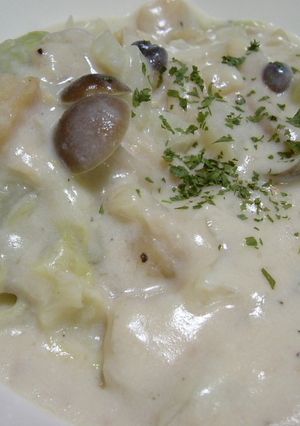 ☆ホワイトソース de ロールキャベツ☆-レシピのメイン写真