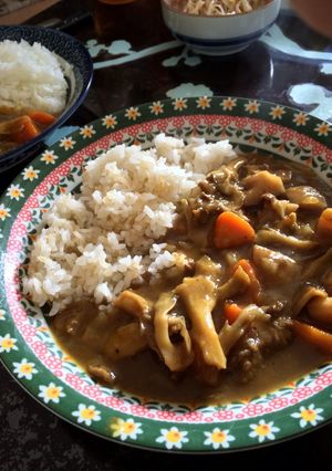 ルー節約！トロ〜リ♪れんこんカレー-レシピのメイン写真