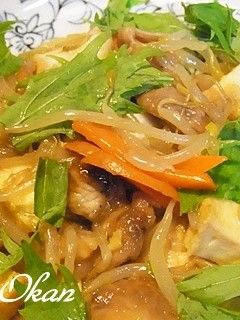 厚揚げとモヤシ、豚肉の炒め物-レシピのメイン写真