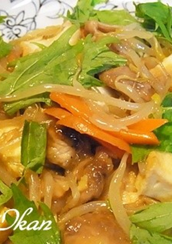厚揚げとモヤシ、豚肉の炒め物-レシピのメイン写真