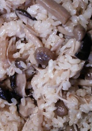 きのこコンフィで炊き込みご飯-レシピのメイン写真