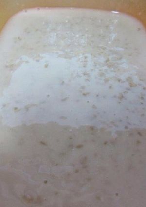 手作り塩こうじ★万能うまみ調味料★-レシピのメイン写真