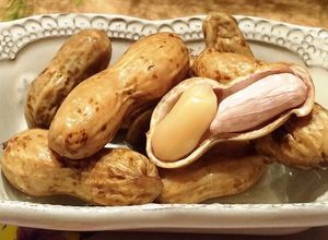 旬の 落花生 圧力鍋で簡単 絶品ゆで方-レシピのメイン写真