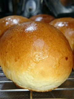我が家のぷっくり丸パン(HB生地コース)-レシピのメイン写真