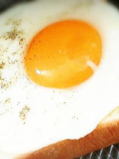 簡単 朝食 ランチにも◎ 半熟卵トースト-レシピのメイン写真