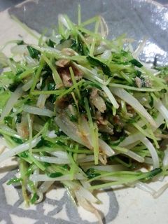 シャキシャキもやしと豆苗の炒め物-レシピのメイン写真
