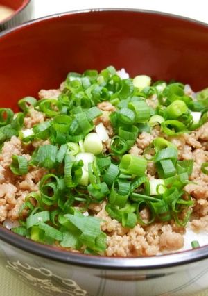 金王庵のねぎ丼-レシピのメイン写真