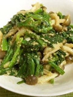 ほうれん草としめじの胡麻和え-レシピのメイン写真