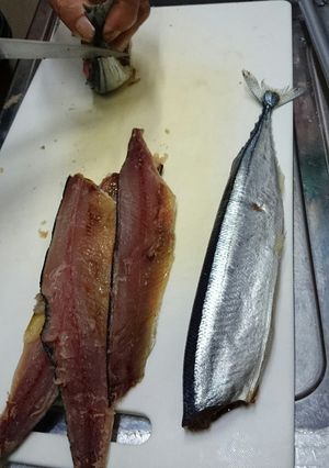 マグロ漁師さんサンマ美味しく安全見分け方-レシピのメイン写真