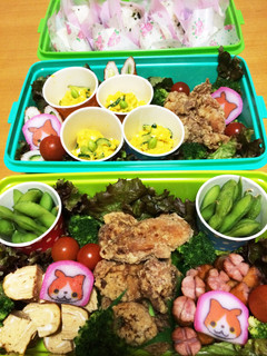 2014年 幼稚園運動会のお弁当☆-レシピのメイン写真