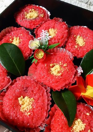 お正月やひな祭りにも♪椿ごはん(おはぎ)-レシピのメイン写真