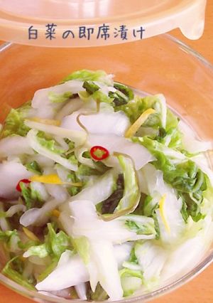 白菜の即席漬け-レシピのメイン写真