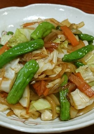 自家製焼き肉のたれで野菜炒め♪-レシピのメイン写真
