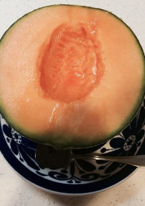 メロンの切り方♪-レシピのメイン写真