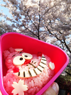 ★アリス チェシャ猫 キャラ弁★-レシピのメイン写真