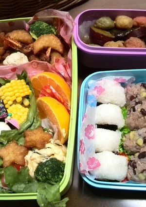 2014年☆幼稚園運動会のお弁当-レシピのメイン写真