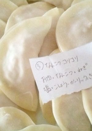 鶏もも肉で餃子☆その⑤のレシピ☆-レシピのメイン写真