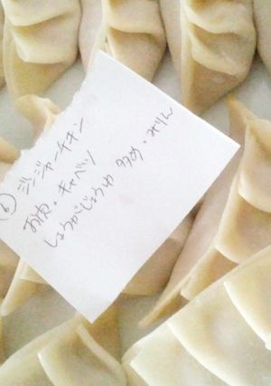 鶏もも肉で餃子☆その⑥のレシピ☆-レシピのメイン写真