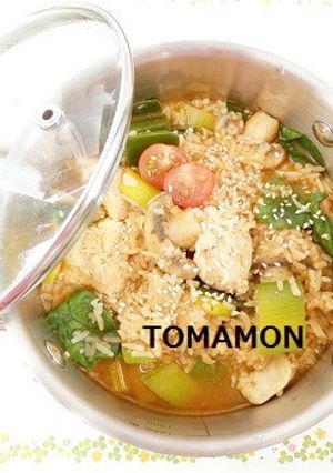 簡単ひとり鍋♪鶏肉とお野菜のスタミナ雑炊-レシピのメイン写真