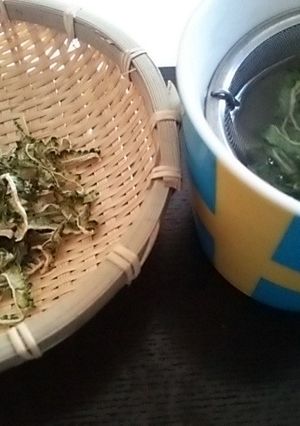 自家製の健康ゴーヤ茶☆-レシピのメイン写真