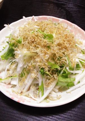 大根とじゃこのシャキシャキサラダ-レシピのメイン写真