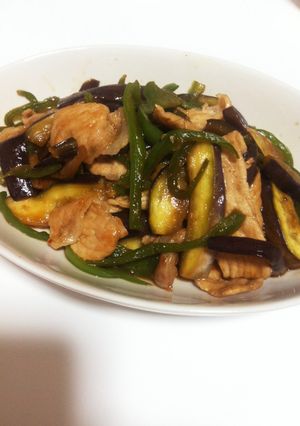 茄子入り！青椒肉絲-レシピのメイン写真