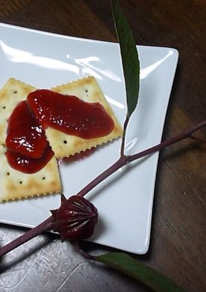 ローゼル(ハイビスカス)ジャム-レシピのメイン写真