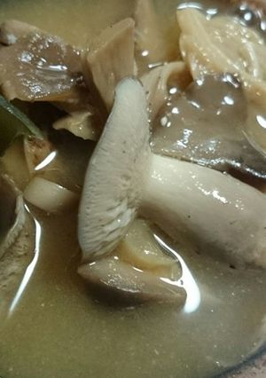 山採り・本しめじと他のキノコの煮付け-レシピのメイン写真