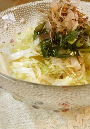 白菜のネギダレサラダ♪冬野菜もりもり-レシピのメイン写真
