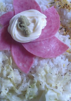 土鍋炊きでカフェ丼V3〜ビアソ酢キャベツふりかけ-レシピのメイン写真