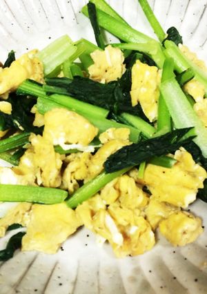 栄養満点！小松菜と卵の炒め物-レシピのメイン写真