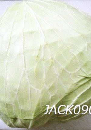 ２週間後でもパリッパリ♪キャベツの保存法-レシピのメイン写真