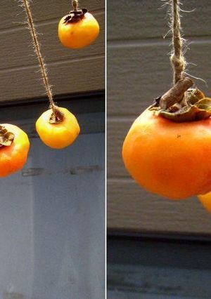 野菜ソムリエの、じゅんわり甘い、干し柿。-レシピのメイン写真