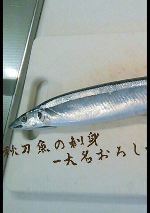 今が旨い、秋刀魚の大名卸し-レシピのメイン写真