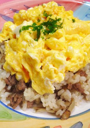 ♬フワフワたまごとゴボウが香るオムライス-レシピのメイン写真