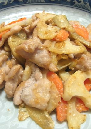 豚肉と根菜の味噌炒め-レシピのメイン写真