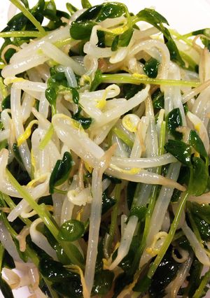 豆苗とモヤシのナムル-レシピのメイン写真