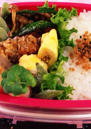 毎日弁当(´Д` )-レシピのメイン写真