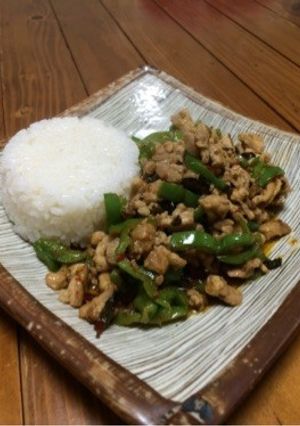 ガパオライス(鶏肉)-レシピのメイン写真