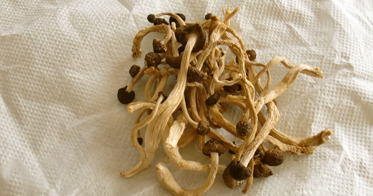 干して使おう♪しめじ by ｲｽﾞﾐﾙﾐﾙ 【クックパッド】 簡単おいしい