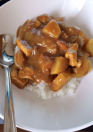 辛口苦手でお腹が弱い人でも大丈夫なカレー-レシピのメイン写真