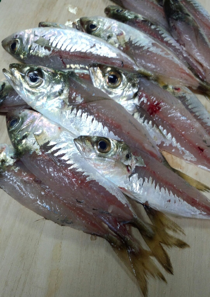 *鯵の簡単ｾｲｺﾞ取り*-レシピのメイン写真