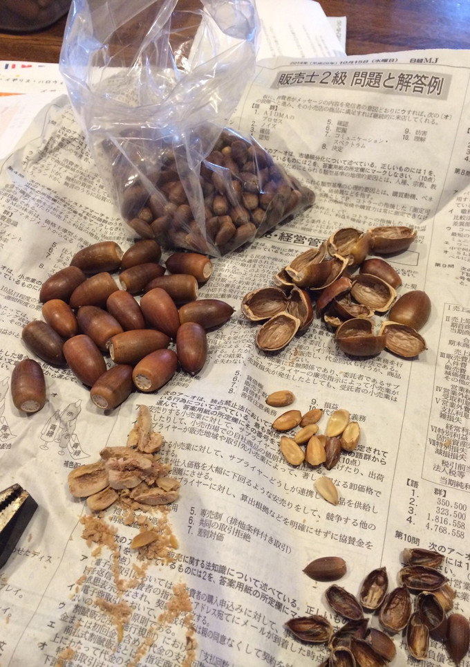簡単どんぐりの食べ方（椎の実の食べ方）-レシピのメイン写真