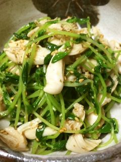 豆苗とささみのさっぱりサラダ-レシピのメイン写真