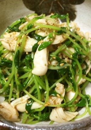 豆苗とささみのさっぱりサラダ-レシピのメイン写真